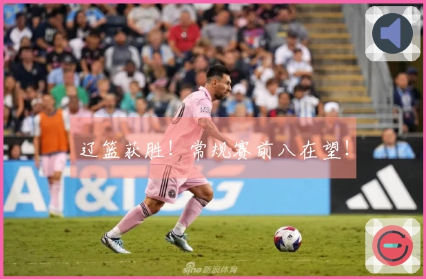 辽篮获胜！常规赛前八在望！