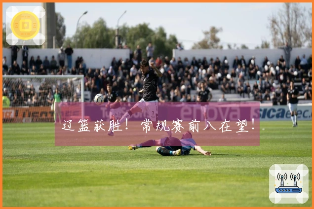 辽篮获胜！常规赛前八在望！